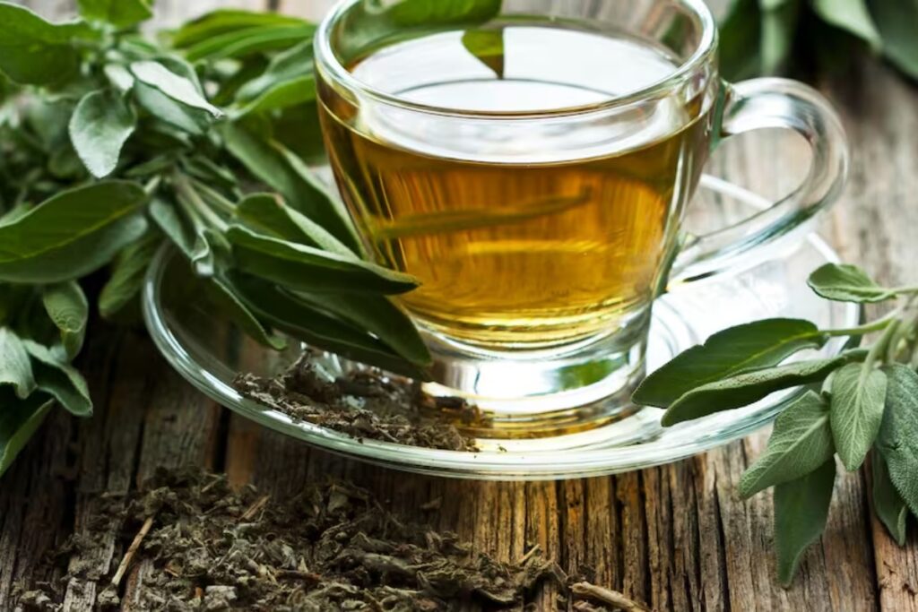 Un elisir naturale per il cervello e gli ormoni: perché il tè alla salvia è stato dichiarato custode della salute delle donne